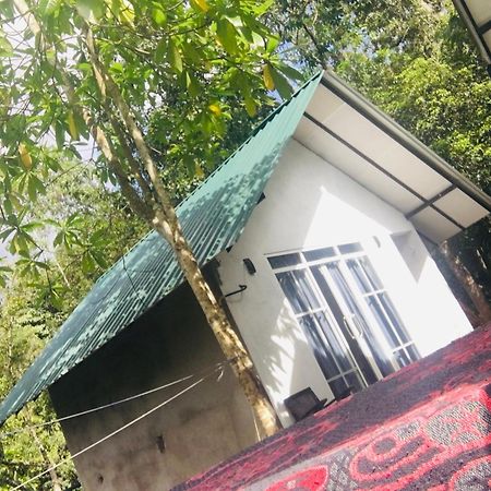 Little Wood Villa And Retreats Doluwa Kandy Dış mekan fotoğraf