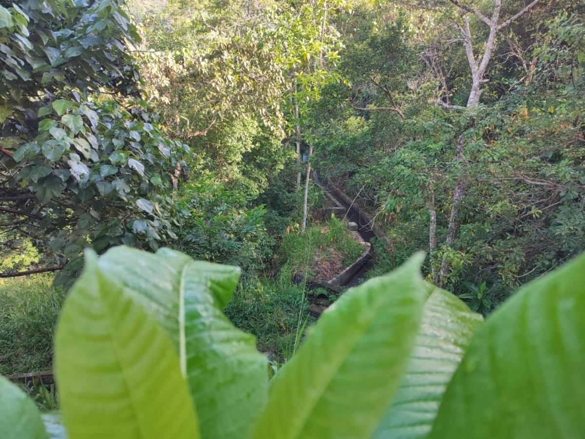 Little Wood Villa And Retreats Doluwa Kandy Dış mekan fotoğraf