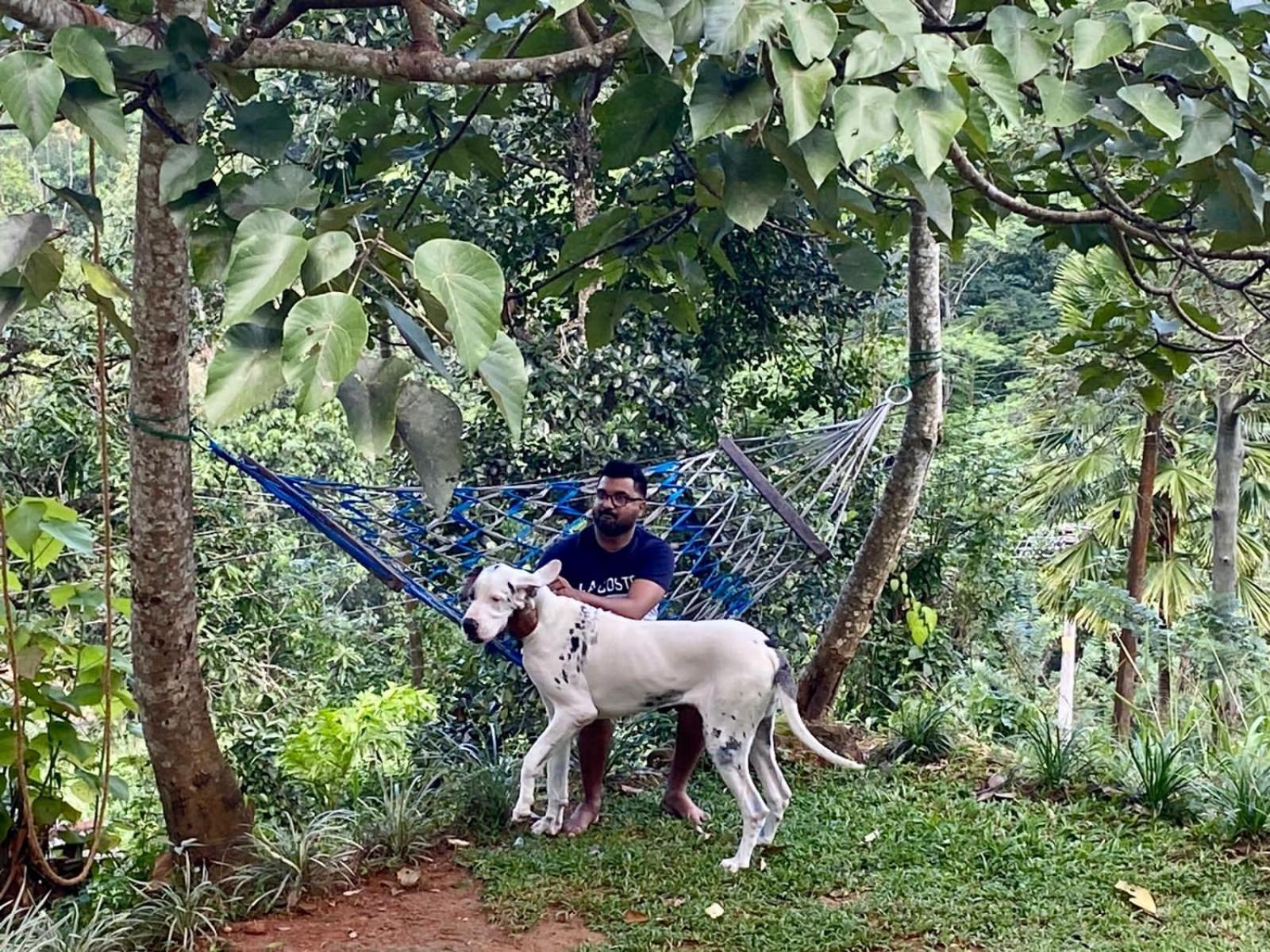 Little Wood Villa And Retreats Doluwa Kandy Dış mekan fotoğraf